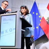 Wirtschaftskammer – ein Staat im Staat