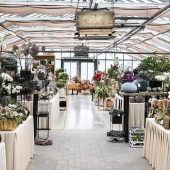 Zarte Hoffnung für Rosen Waibel