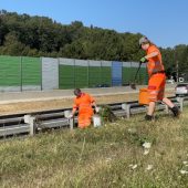 287 Tonnen Müll an Vorarlberger Autobahn