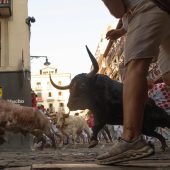 Fünf Verletzte bei umstrittener Stierhatz in Pamplona