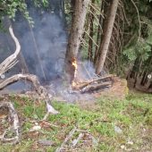 Waldbrand löst Großeinsatz aus