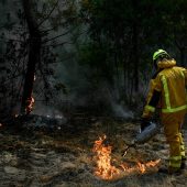 Brände zerstören riesige Flächen