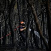 Waldbrände außer Kontrolle