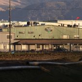 US-Behörden suchen Ursache der Infektionswelle