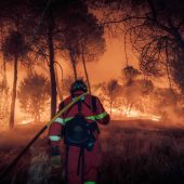 Lage bei Waldbränden angespannt