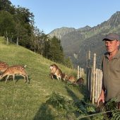 „Ich müsste meine Tiere erschießen“