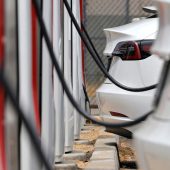Teslas aus Brandenburg