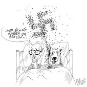 . . . wacht mit Flöhen auf!