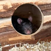 Riesenbaby sucht schönes Plätzchen