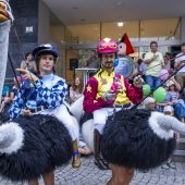 Kunterbuntes Spektakel
