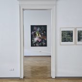 Die Schönheit und ihre Störungen