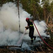 Festnahmen nach Waldbrand nahe Paris