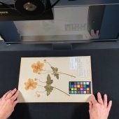 Bedeutender Schritt für die Forschung
