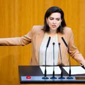 Grüne gegen Bundesstaatsanwaltschaft