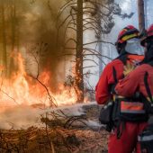 Fast 20.000 Menschen wegen Waldbrand in Frankreich evakuiert
