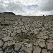 El Niño: Dürre-Alarm für 80 Prozent von Honduras