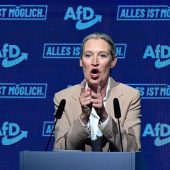 AfD kämpft weiter um Millionenspende