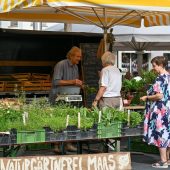 Kräutermarkt brachte Natur ins Zentrum
