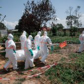 Kongo: Tödlichster Ebola-Ausbruch bisher