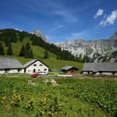 Wieder Wolfsalarm im Montafon