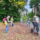 Auch der Waldboden ist zu trocken