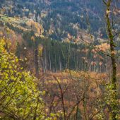 Ende der Waldbrandverordnungen