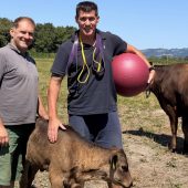 Fitnesstrainer aus Lustenau setzt auf Wagyu-Rinder