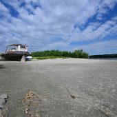Donau gibt ihre Geheimnisse preis