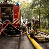 Weltweite Waldbrände