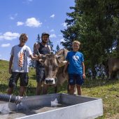 Auf den Alpen zählt jetzt jeder Liter Wasser