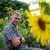 Feldkirchs schönstes Sonnenblumenmeer
