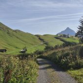 Biketour nach Bürstegg