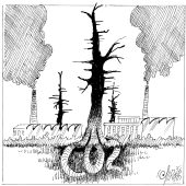 CO2 im Boden – Konsequenz!