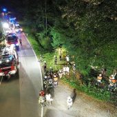 Pkw mit 17-jährigem Lenker stürzt Abhang hinab