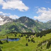 Wälder Tourismus ist auf Höhenflug