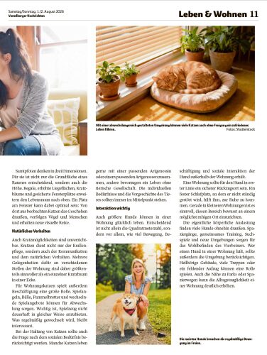 Ausgabe 01.08.2026, Seite 11