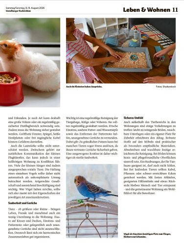 Ausgabe 08.08.2026, Seite 11