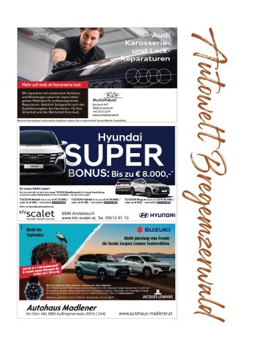 Ausgabe 28.08.2026, Seite 13