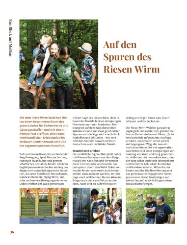 Ausgabe 28.08.2026, Seite 36
