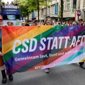Bilder des Tages