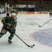 Tigers fordern Arosa bis zur Schlusssirene