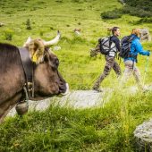 Alpen sind keine Streichelzoos