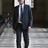 Meischberger trotz Krankheit aktiv