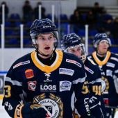 Tigers holen schwedischen Offensivverteidiger
