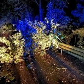 Bäume blockierten Verkehrswege
