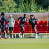 Irlands Physis wartet auf ÖFB-Team