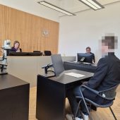 Fußgängerin mit Außenspiegel verletzt