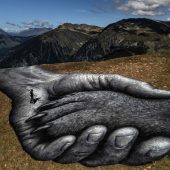 Bilder des Tages