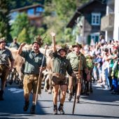 Glocken, Blumen, Kronen bei Alpabtrieb in Tschagguns