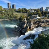 Vereinsausflug zum Rheinfall war kein Reinfall